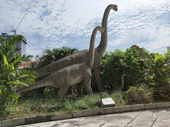 Top Big 5 Attraction